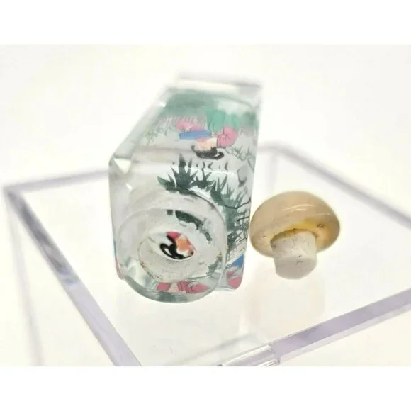 Snuff Bottle Hand-Painted Chinese Square Glass Round Lid Vintage Women je143